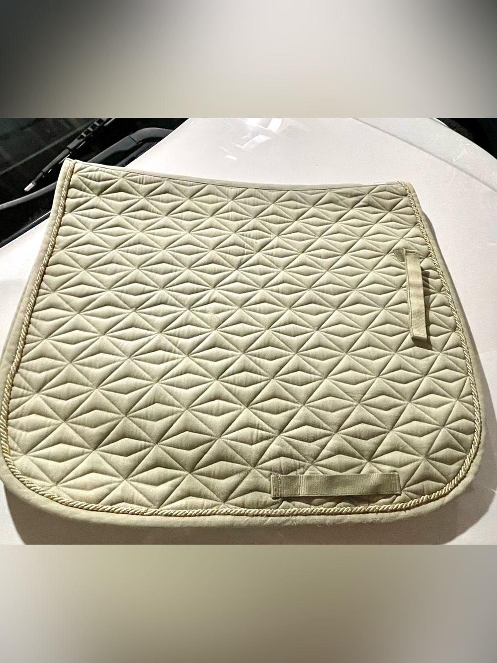 Light Sage Green Dover Dressage Saddle Pad Full